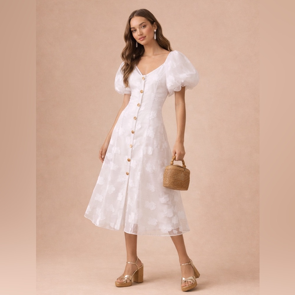 NWT! Anthropologie Let Me Be Puff-Sleeve Sheer Midi Dress 🎀